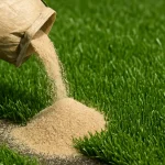 Instrooizand voor kunstgras: voordelen, toepassingen en onderhoud